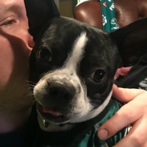 Meet your Posher, Allison